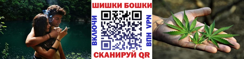 Бошки Шишки сатива Мещовск